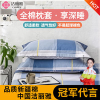 洁丽雅枕头套纯全棉棉磨毛印花亲肤加厚柔软枕套水洗纯棉一对枕罩透气 念之以蓝 48*74cm枕套一对