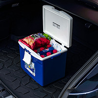 IRIS 爱丽思 CL-15 车载保温箱冷藏箱 约15升户外野餐冷暖两用箱  蓝色