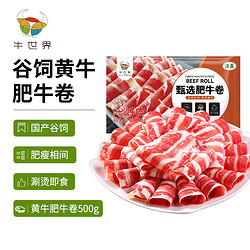 牛世界 特选精制肥牛卷500g谷饲牛肉火锅涮锅肥牛卷冻生鲜