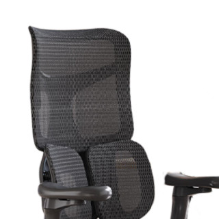 SIHOO 西昊 S50 撑腰人体工学椅 曜黑色 脚踏款