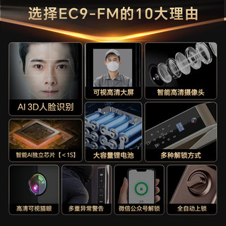 第吉尔 EC9-FM 3D人脸识别 碳素黑 智能门锁