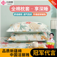 洁丽雅枕头套纯全棉棉磨毛印花亲肤加厚柔软枕套水洗纯棉一对枕罩透气 曼歌雅韵(米) 48*74cm枕套一对