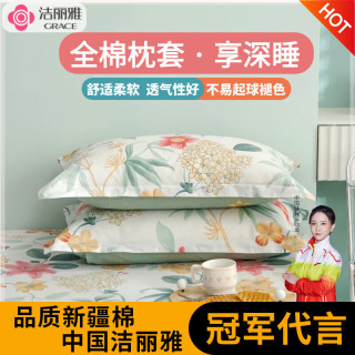 洁丽雅枕头套纯全棉棉磨毛印花亲肤加厚柔软枕套水洗纯棉一对枕罩透气 曼歌雅韵(米） 48*74cm枕套一对