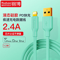 Yoobao 羽博 苹果数据线 1.2米液态硅胶