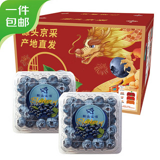 云南蓝莓 2盒装 约125g/盒 15mm+ 新鲜水果礼盒 源头直发 包邮