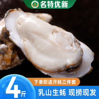 灯塔水母生蚝乳山鲜活即食特大牡蛎现捕海蛎子带壳生蚝肉海鲜水产捕捞4斤 净重4斤M(约7-8只/斤)