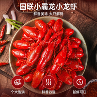 小霸龙 国联小霸龙麻辣小龙虾、加热即食750g*2盒
