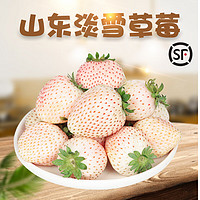 甜艾妮 山东  淡雪草莓1斤（11颗） 单盒250g