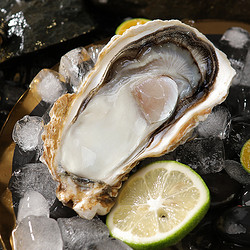 贝司令海鲜水产_beisiling 贝司令 鲜活乳山生蚝 4xl净重4斤8-11只