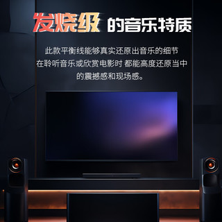  YYTCG 抗干扰 卡侬麦克风线