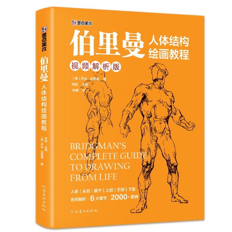 墨点 伯里曼人体结构绘画教程 初学者人物透视技法解剖动态美术基础教程