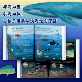 中国儿童海洋百科全书 7-10岁中国孩子的专属“海洋博物馆” 精装大开本