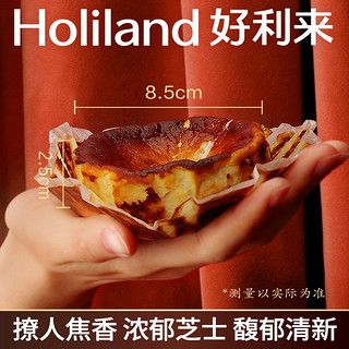 Holiland 好利来 半熟巴斯克 125g