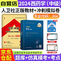 2024药学中级主管药师人卫版考试指导教材+考点研读冲刺模拟试卷 2本 2024年全国卫生专业技术资格考试 可搭配同步练习题集