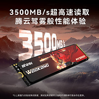 BIWIN 佰维 1TB SSD固态硬盘 M.2接口 NV3500 悟空系列 读速3500MB/s