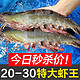 东上御品 17-21cm 盐冻大虾4斤仅 79