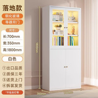 唐辑钢制书柜书架落地客厅展示储物柜书橱带门收纳柜 白上玻下铁