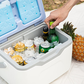  ICEMASTER/冰大师 便携 保温箱  蓝