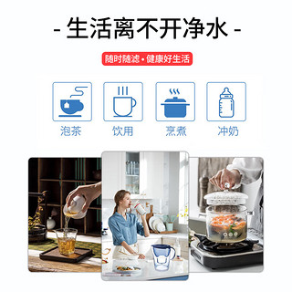 斯程适配碧然德（brita）三代专家用版滤水壶净水壶滤芯升级标准通用多效滤芯 原厂品质|适配升级碧然德净水壶滤芯3+3共6个