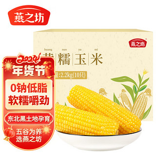 燕之坊 黄糯玉米 10只 2.2kg