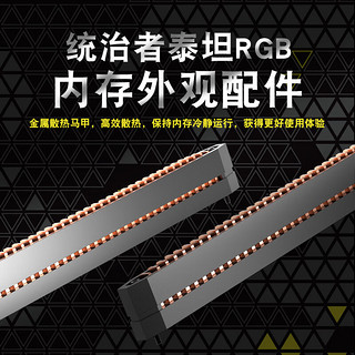 美商海盗船 统治者泰坦 RGB 内存条 外观配件 马甲散热片(x2) 金属鳍片 黑色 鲨鱼鳍