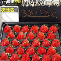 少羽 丹东99草莓应当季新鲜水果红颜大果牛奶奶油九九草莓整箱 丹东 红颜99草莓 1斤装 中果15-20G