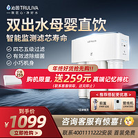 TRULIVA 沁园 家用厨下式净水器双出水RO反渗透3800