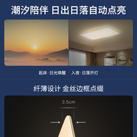 雷士 NVC   Lighting照明吸顶灯led小米米家灯具套餐长方形现代简约客厅卧室灯饰 桔色