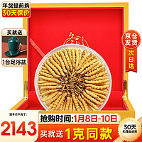 藏汐堂 冬虫夏草西藏那曲干虫草礼盒装干货冬虫草头期 4根/g 20克 共80根