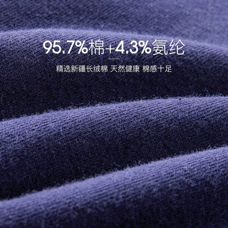 Langsha 浪莎 内裤男三角裤夏季薄款AAA级 4条