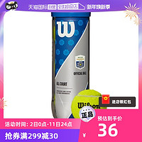 Wilson 威尔胜 官方上海大师赛专用比赛级多场地网球3只装