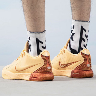 耐克（NIKE）男鞋 2024春季时尚运动鞋LEBRON XXI EP训练耐磨休闲篮球鞋 FV2346-800 43/275/9.5