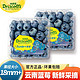 怡颗莓 当季云南蓝莓 Jumbo超大果国产蓝莓125g*2盒