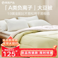 YANXUAN 网易严选 凉感果冻夏凉被 7A级柔软A级抗菌可水洗双面配色山茶绿 150*200cm
