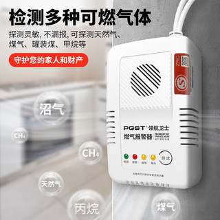  PGST 独立式 燃气器