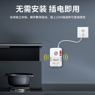  PGST 独立式 燃气器