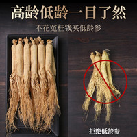 250克】七吉人参长白山东北特产干参整支生晒参泡酒白参礼盒山参