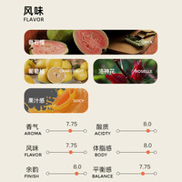 扑满咖啡巴拿马波奎特ABU阿布庄园卡杜艾厌氧日晒手冲咖啡豆 150g