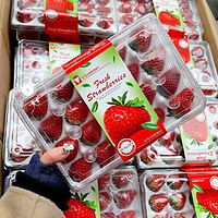 顶鲜季 99红颜草莓 净重5斤单果15-20 克