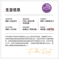 厄瓜多尔木瓜庄园 改良铁比卡厌氧日晒 手冲咖啡豆60g-COLIN PLUS