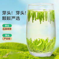 乐品乐茶 茶叶2023新绿茶特级明前雀舌100g*2浓香型嫩芽毛尖春茶