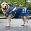 ISPET狗狗雨衣中大型犬宠物雨衣柴犬金毛拉布拉多柯基萨摩耶雨披 蓝色 2XL