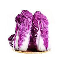 栗贝诺 京地达 新鲜紫罗兰山东大白菜净重4.5斤装 农家自种蔬菜特产