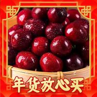 Goodfarmer 佳农 【预售】佳农智利车厘子大樱桃3J级2.5kg礼盒