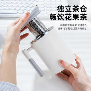 CAIZHI 彩致 304不锈钢马克杯带盖水杯带茶漏大容量咖啡杯 浅灰CZ6806 拼色304不锈钢带茶漏马克杯 浅灰