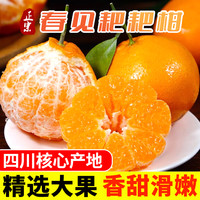 惠味福 四川春见耙耙柑 精选果60-65mm 5斤 泡沫托包装