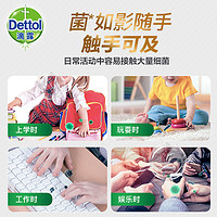 Dettol 滴露 健康抑菌洗手液植物呵护450g+自然清新450g