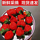 MSHYAN 慕尚红颜 四川大凉山露天精选红颜草莓 2.5斤彩箱装 单果15克