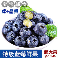 斯可沁 纯甜蓝莓15mm+大果4盒 每盒约125g新鲜水果孕妇宝宝辅食源头直发
