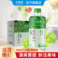 SKYRAIN 天源雪 TIANYUANXUE天源雪  青提味 苏打水饮料 0糖0卡   368ml*20瓶/箱